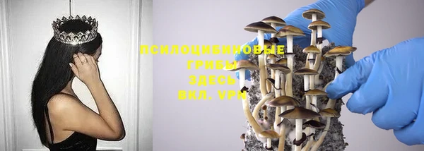 ПСИЛОЦИБИНОВЫЕ ГРИБЫ Армянск