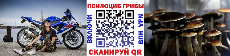 Псилоцибиновые грибы мухоморы  Терек 
